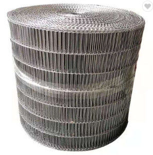 کیفیت  Customized Metal Wire Stainless Steel Mesh Belt Conveyor Chain کارخانه