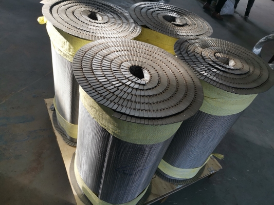 OEM SS304 تسمه نقاله شاه ماهی ایمن مواد غذایی