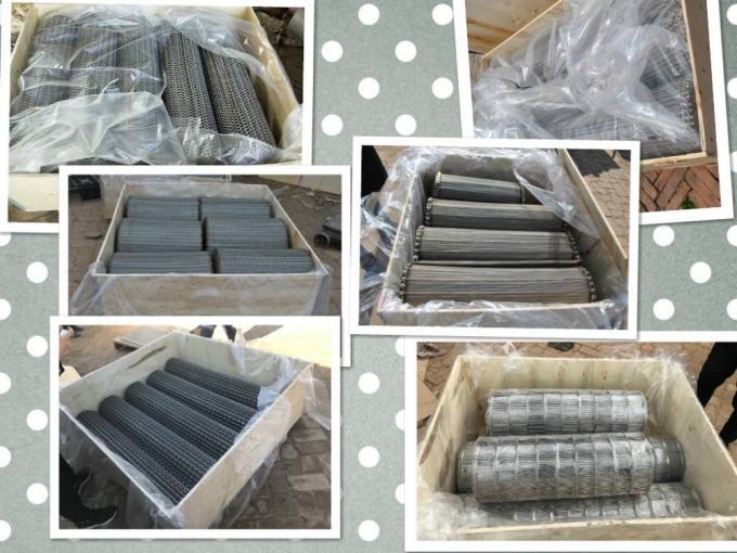 سیم مشبک ساخت تسمه نقاله قابل حمل فولادی SUS316L 6